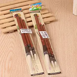Calligraphy Brush Set (3-Pack) - Master